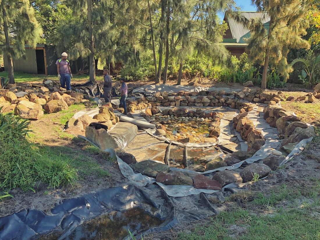 Dry-stacked stone walls being built around the pond