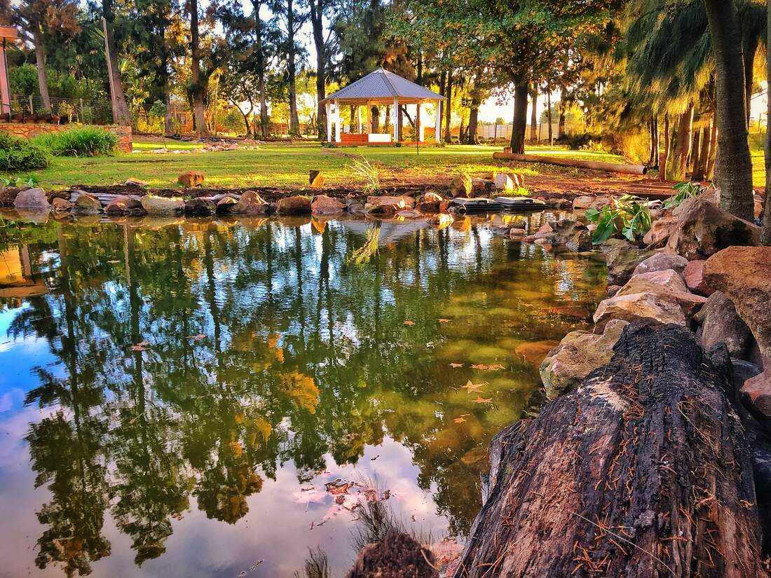The new BioPond at golden hour