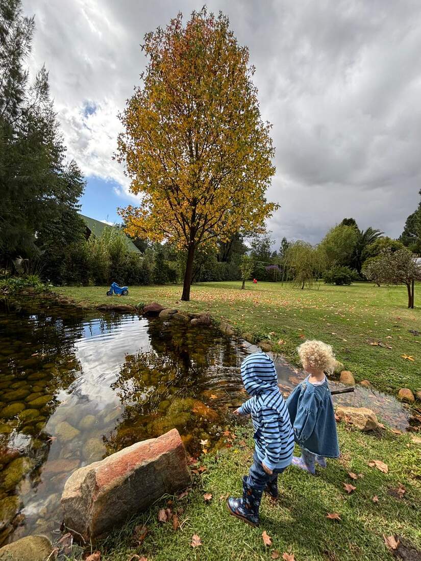 Children exploring the edge of the BioPond at Swannie Creek